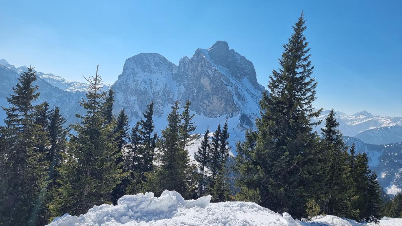 Gipfelstuermer Nesselwang